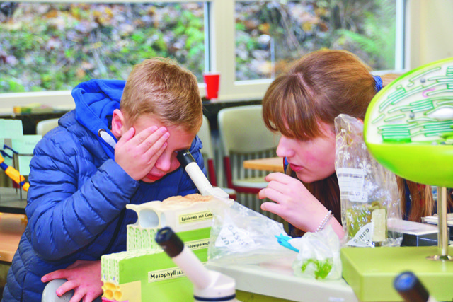 Kommt her und macht mit – Gymnasium Schloss Wittgenstein öffnet seine Türen zum Informationstag am 23.11.2024